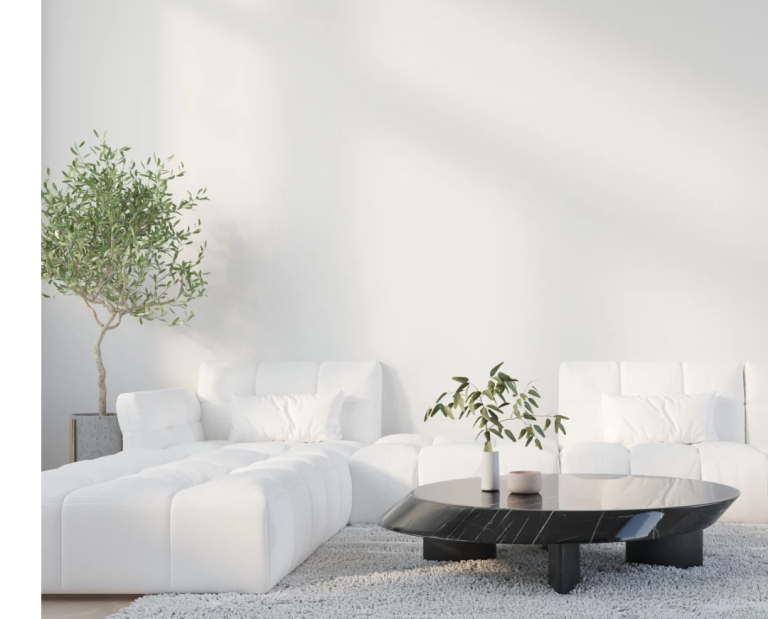 Helles Wohnzimmer mit einem weißen Sofa, einem schwarzen Tisch und einer Pflanze.